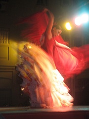 Photo:  Flamenco 8